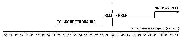 Созревание механизмов сна /fd/psg/sleep_dev.jpeg